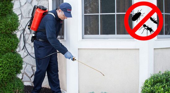 Derinkuyu Akrep İlaçlama böcek ilaçlama ve haşere kontrolü — ilaclama-tr.com